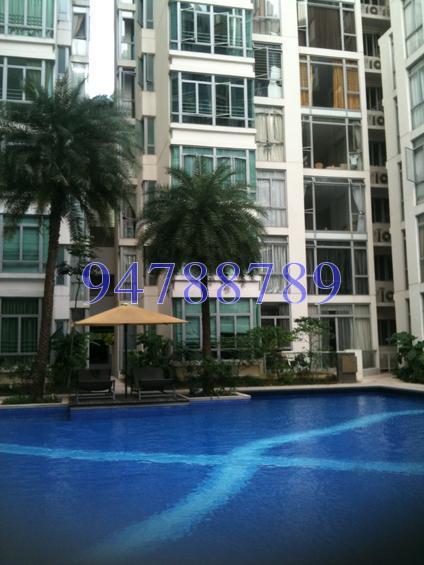 The Lakeshore thumbnail photo